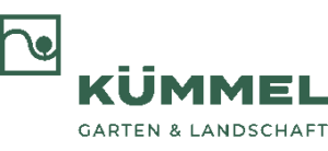 Kümmel